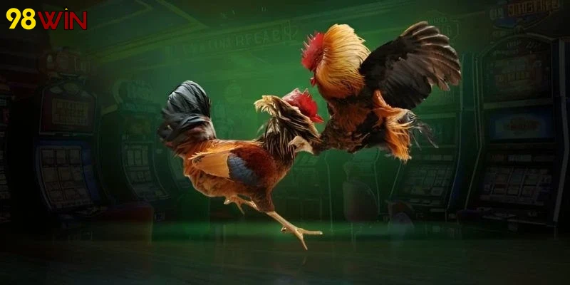 Hình ảnh nhận khuyến mãi thành viên mới Đá gà 98Win