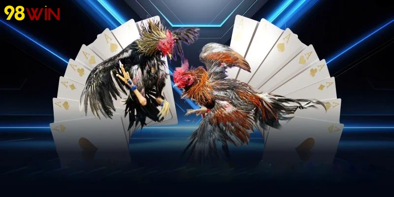 Người dùng trải nghiệm đặt cược trên hệ thống Đá gà 98Win